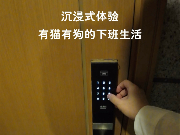 获得道具：小猫小狗赠予的平安符