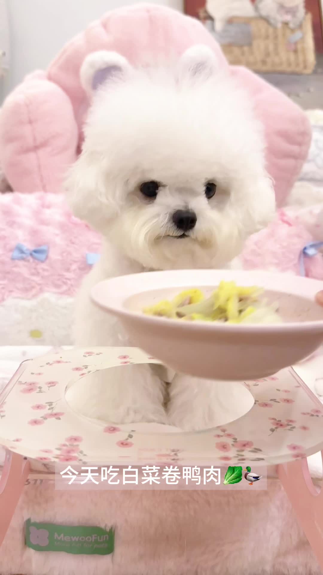 狗狗吃鸭肉白菜卷，夏季清热降火泪痕拜拜