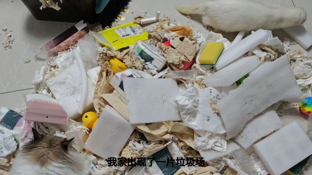 洁癖者慎入哈，我家沙发底下有个小型废弃工厂