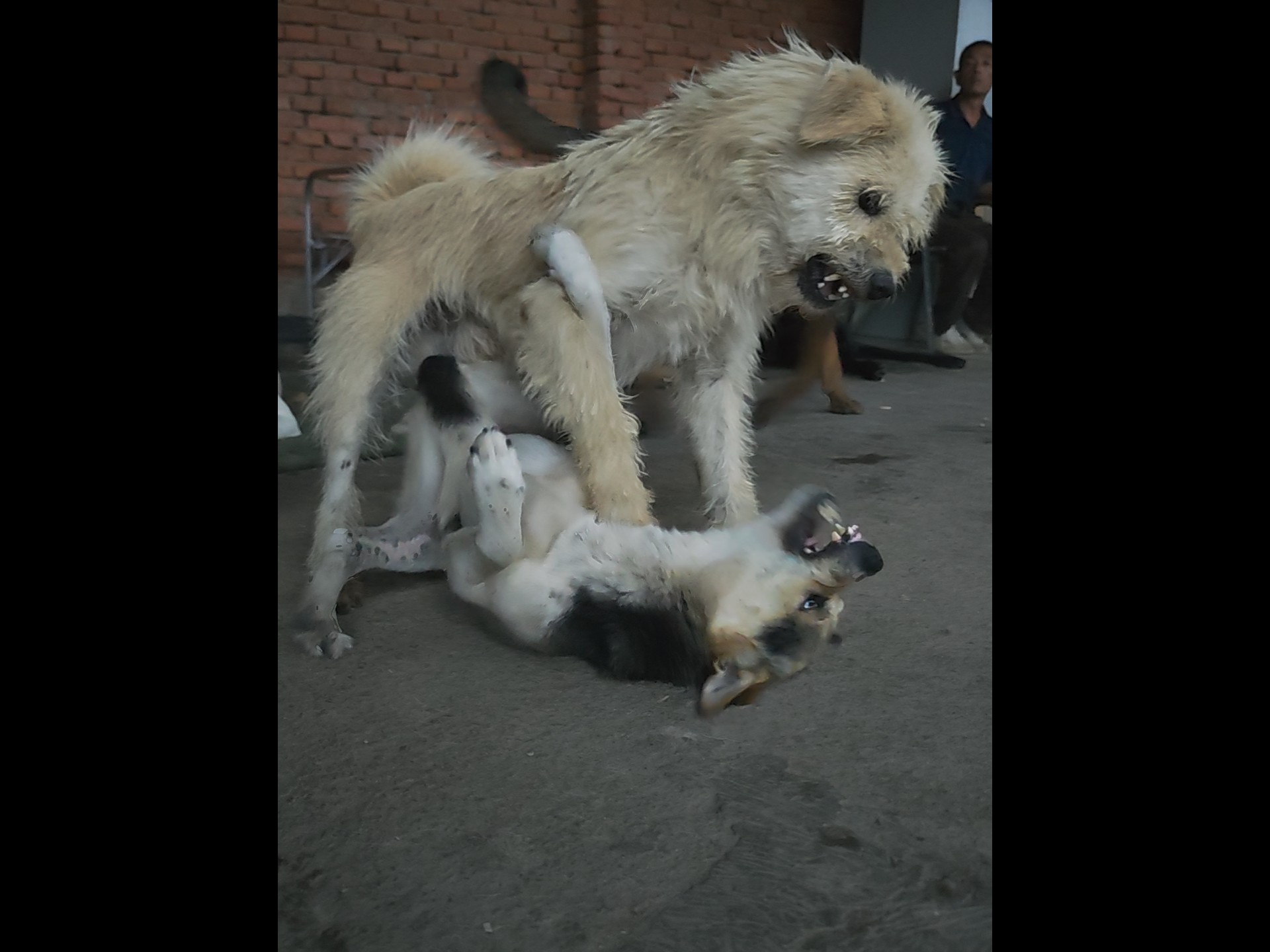 外面下着大雨，脾气还这么火爆…