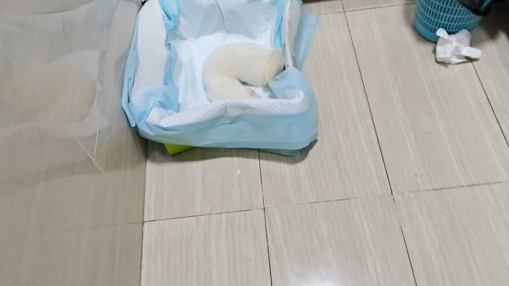 莫名其妙睡别人厕所里去了