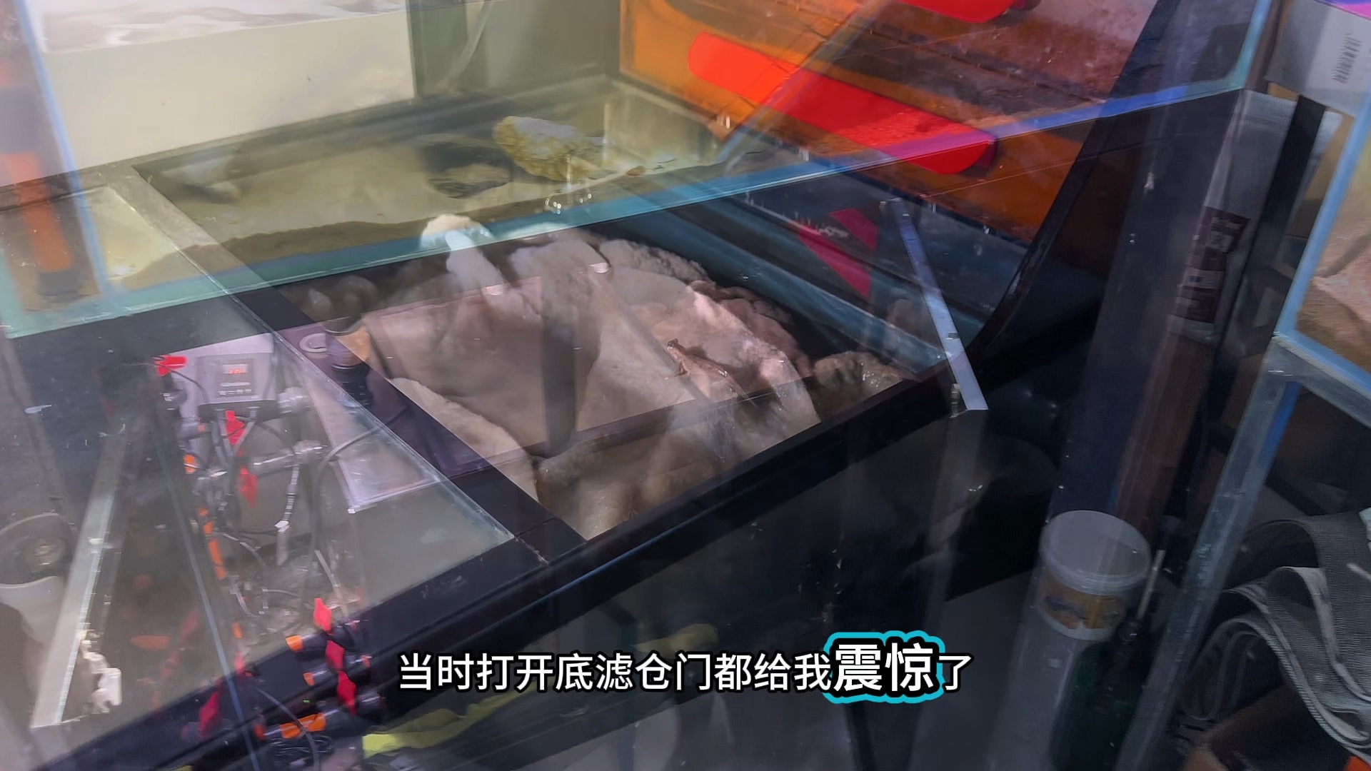 泥巴缸第29天、口播错了