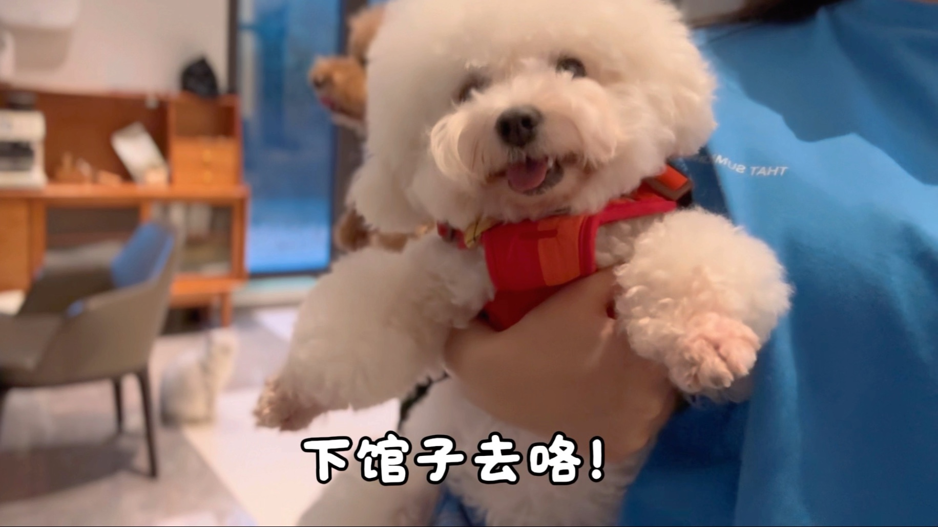 小狗放纵日-牛肉火锅