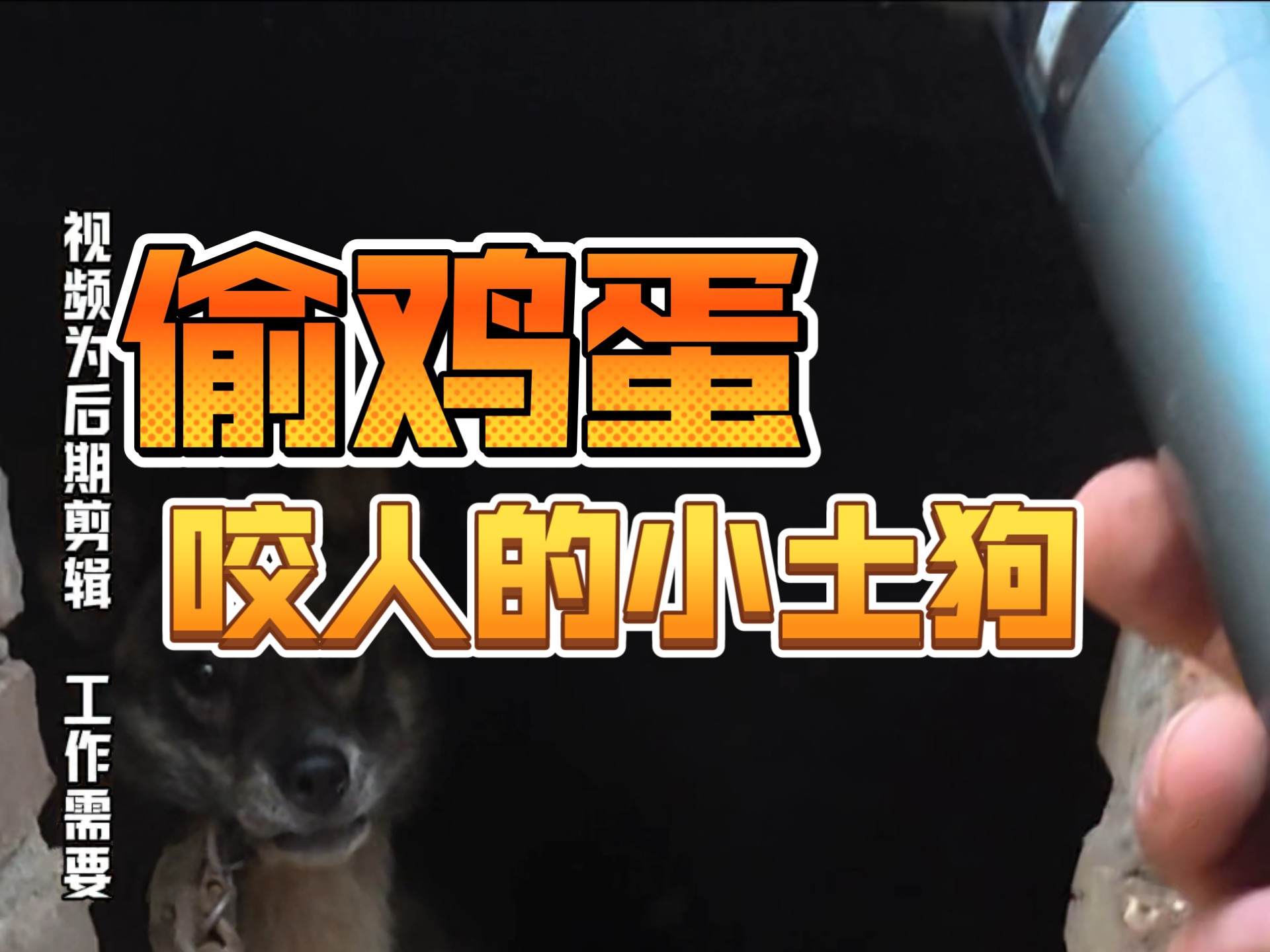 偷鸡蛋、咬人……