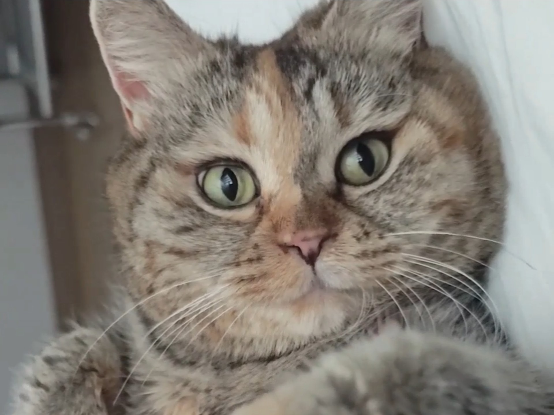 温柔唤醒沉睡的咣当