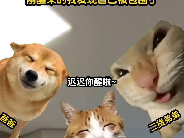 我是一个绝望的学人精