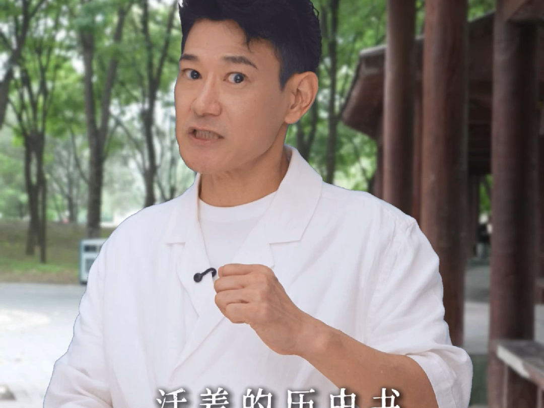 咱们聊聊四川熊猫！