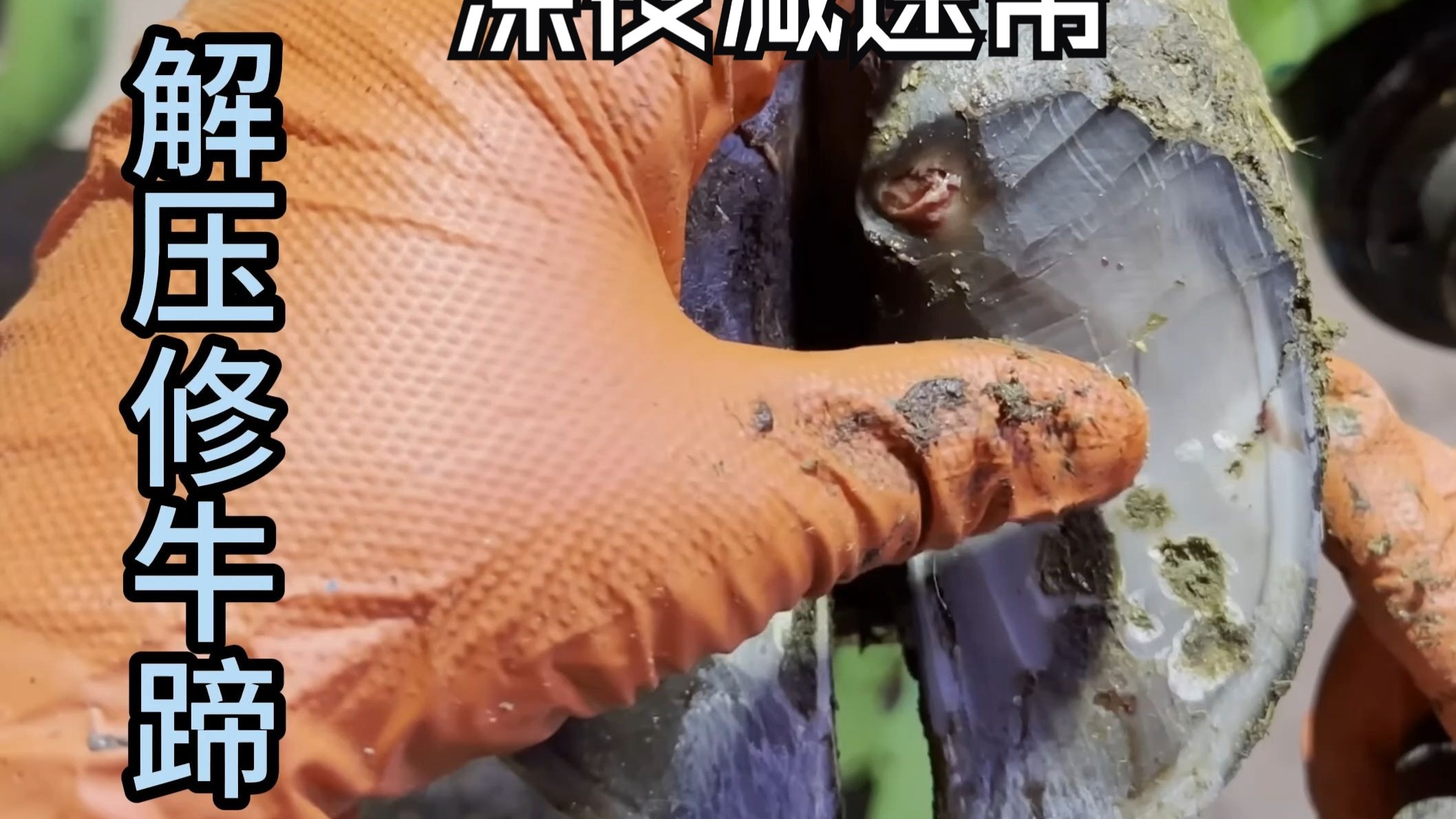 没有什么烦恼是一集修牛蹄解决不了的！如果有，那就看两集……