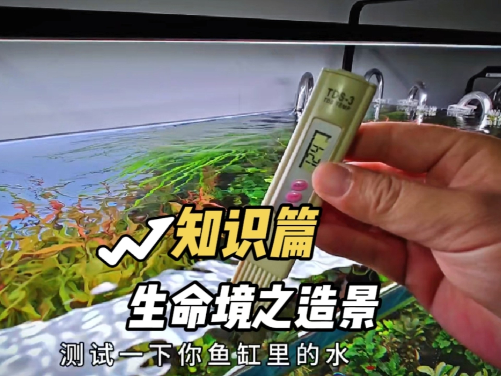 有人问我一个草缸造景能玩多久？ 来 我觉得你们能找一个维护20