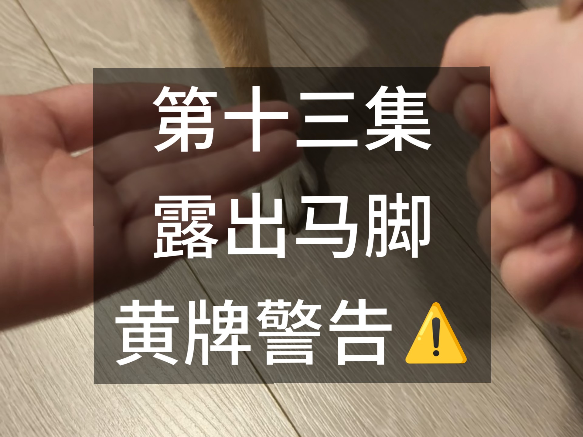 第十三集 大事不好 六桑露出马脚 黄牌警告一次⚠️