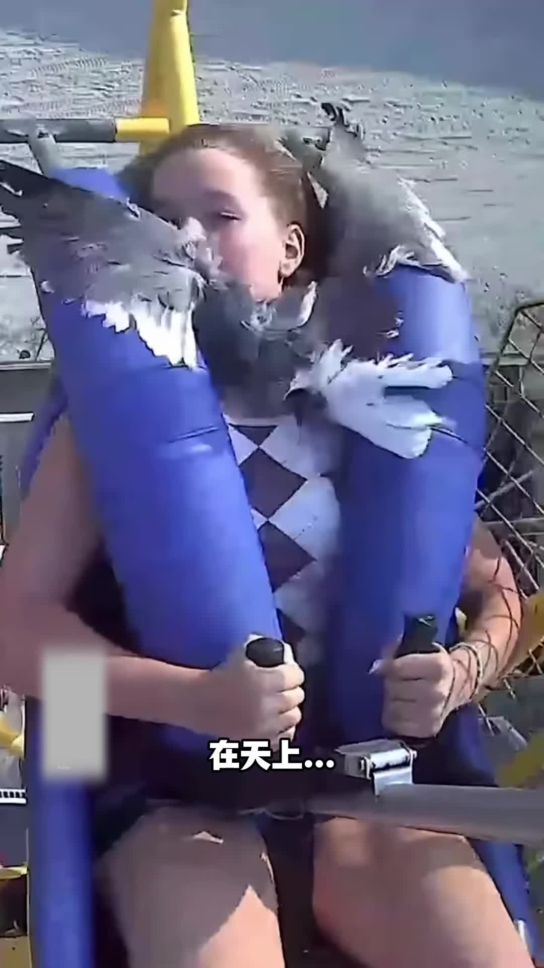 你得所见所闻都是被上天安排好的