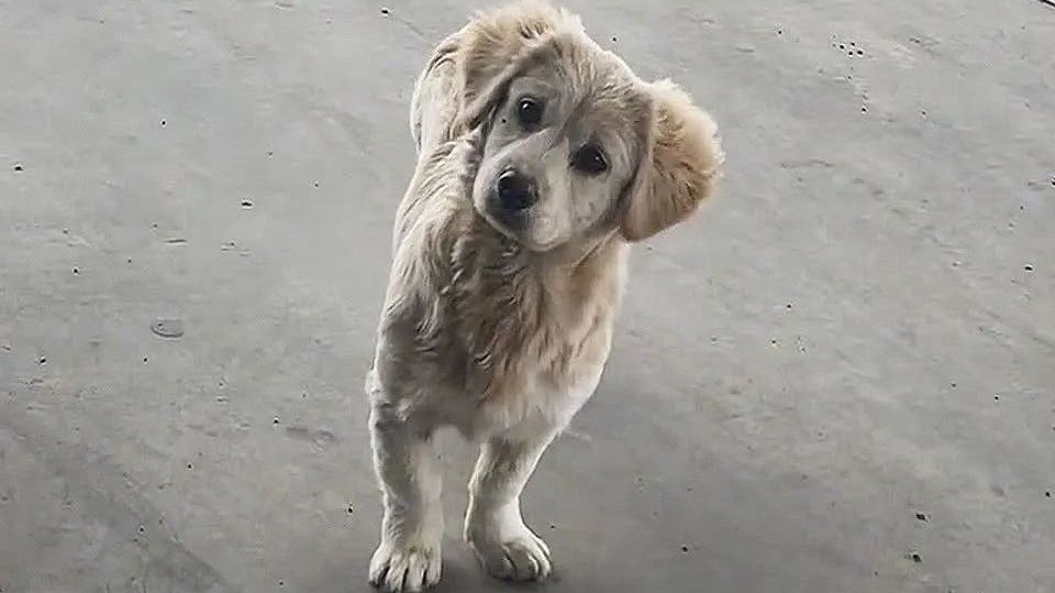 我有一个疯狂的想法，我想带你一起去！