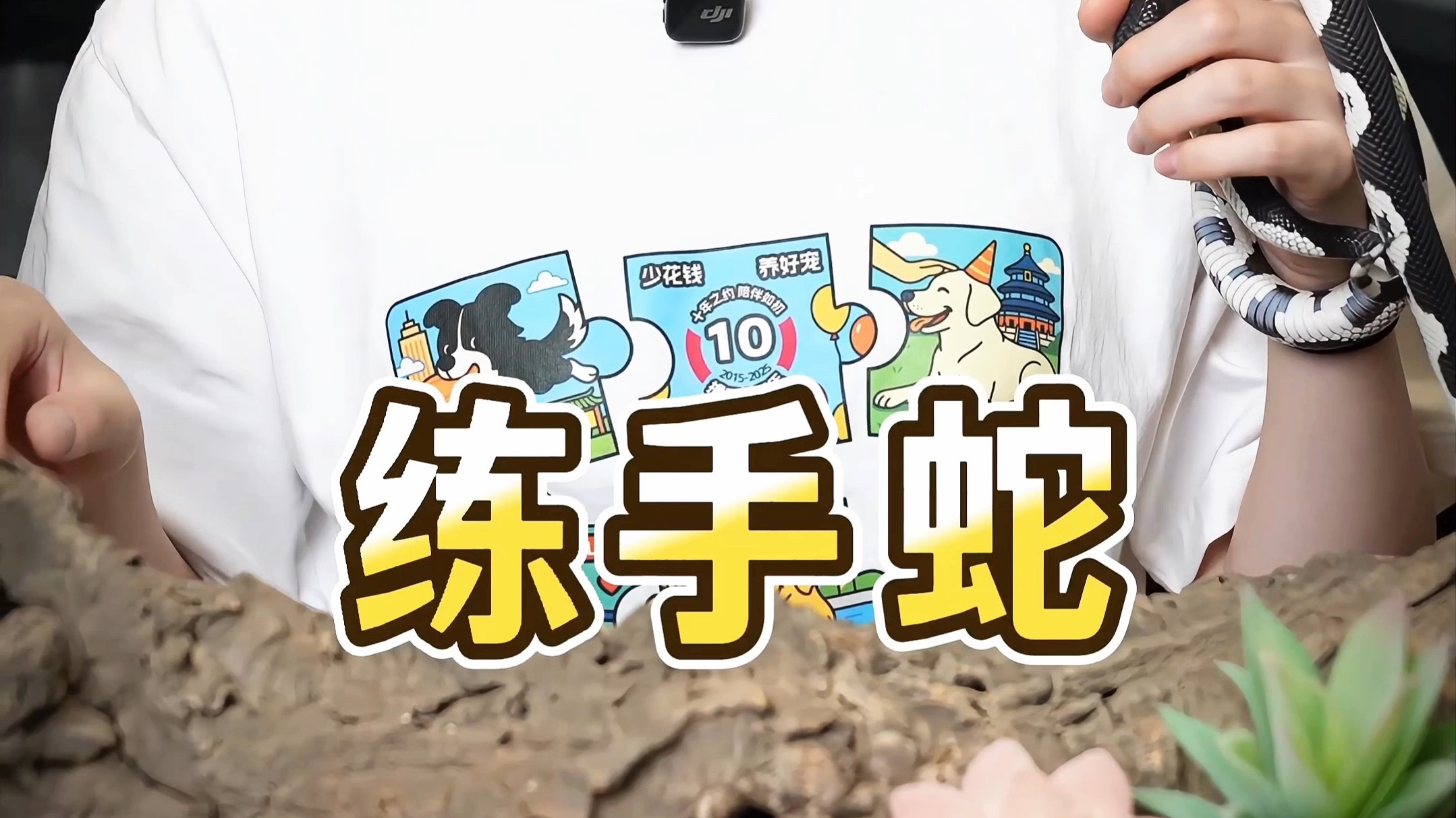 我为什么不推荐大家买练手蛇？