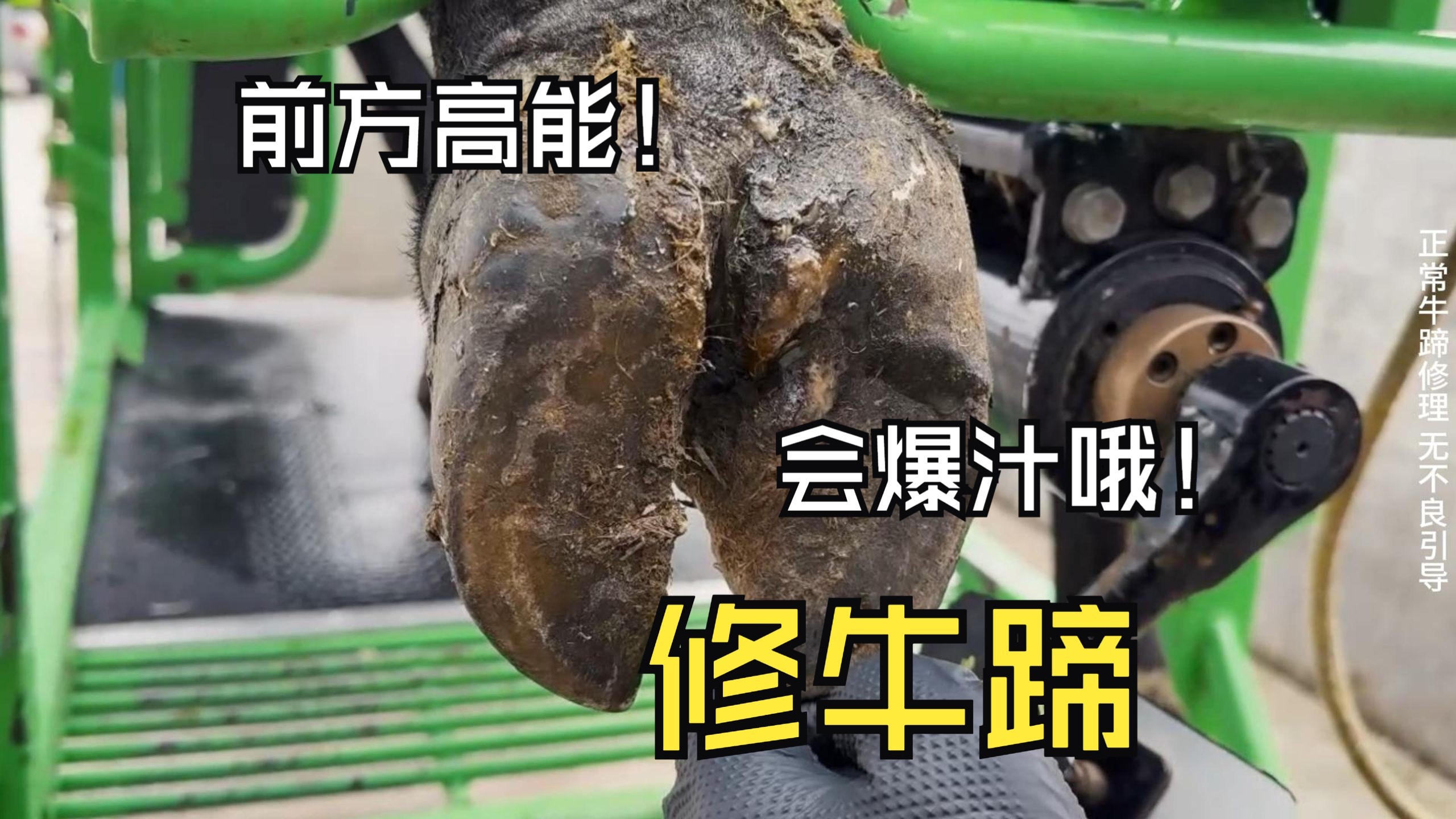 修牛蹄！如此炸裂的牛蹄，即便是放在炸裂界，也是相当炸裂的存在了