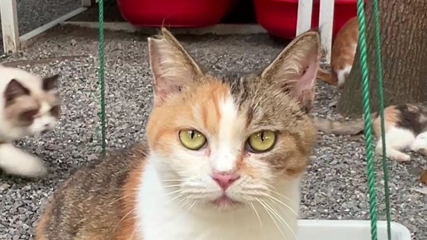 原来所有的爱，都是从“名字”开始的