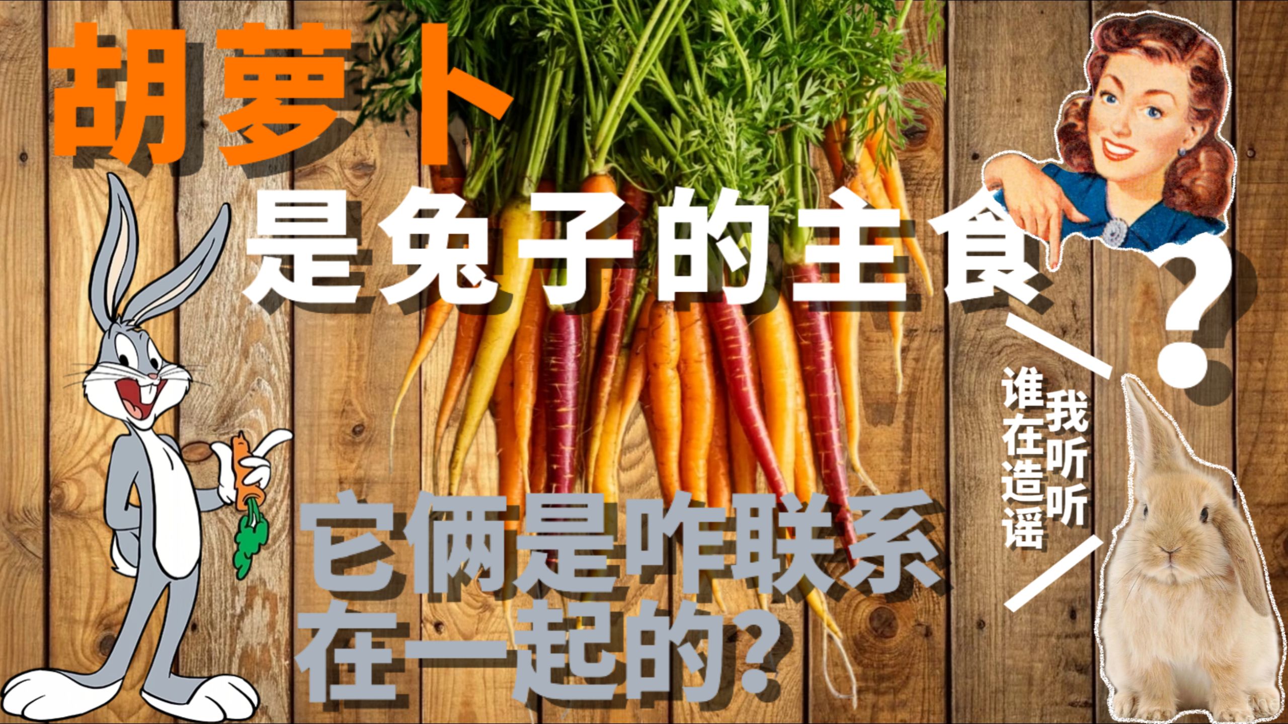 百年谣言“胡萝卜是兔子的主食”从何而来？