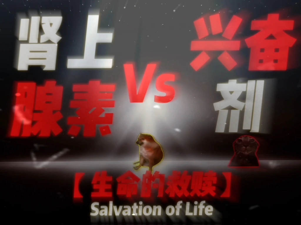 肾上腺素，最后一次!【合集】