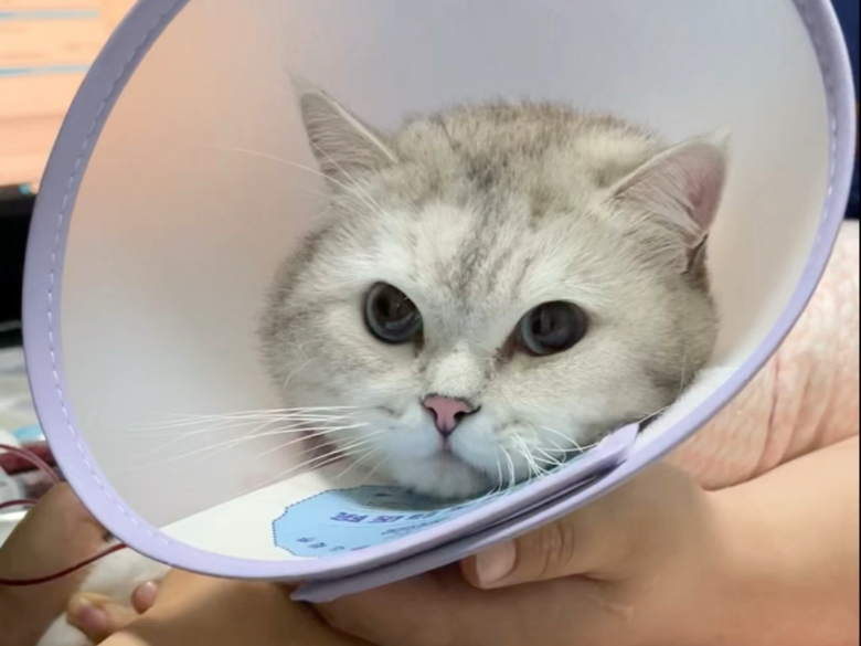 我全程就一个信念，老三血不能白输，她必须活…