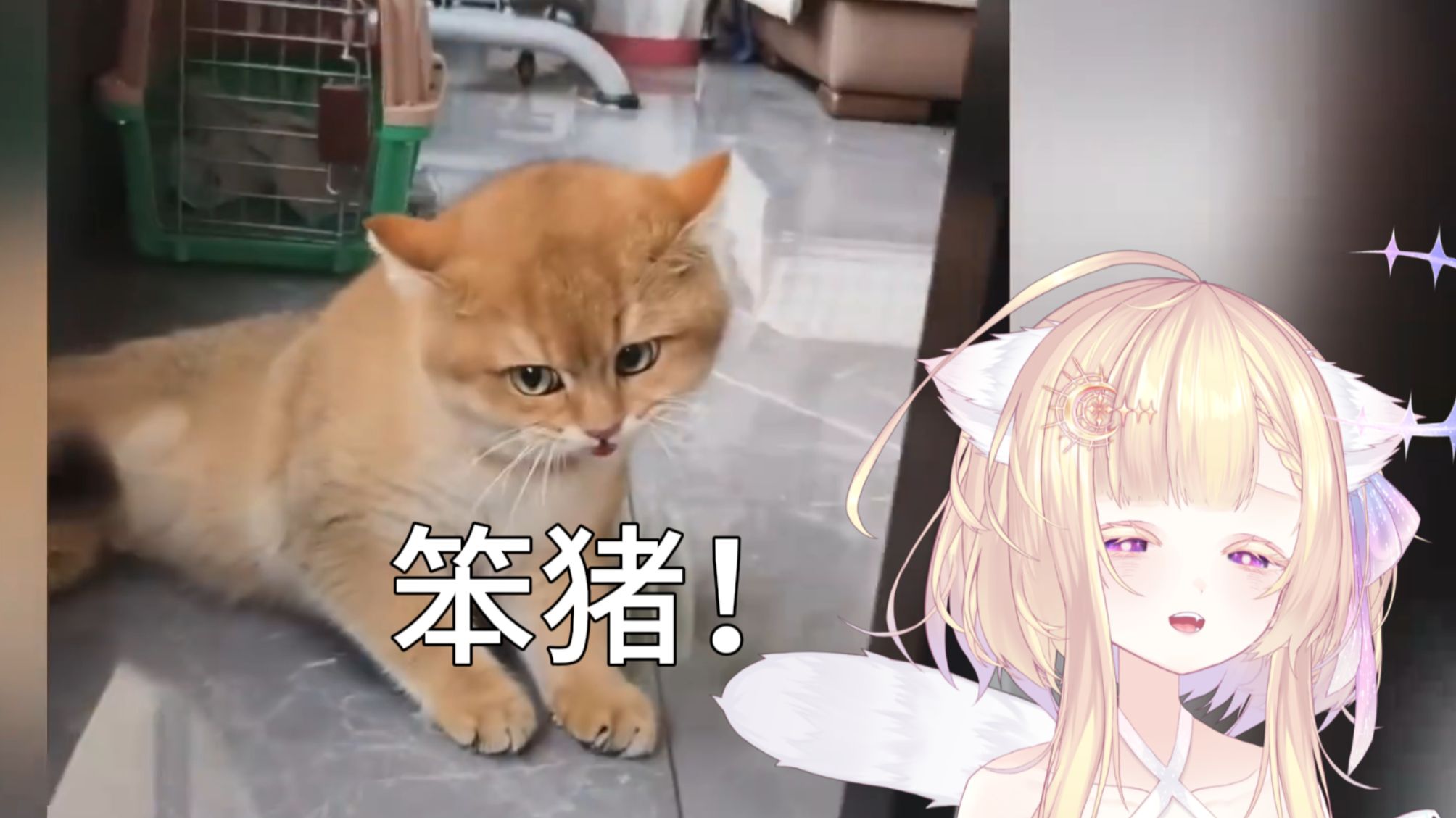 只 要 是 法 语 就 画 风 突 变