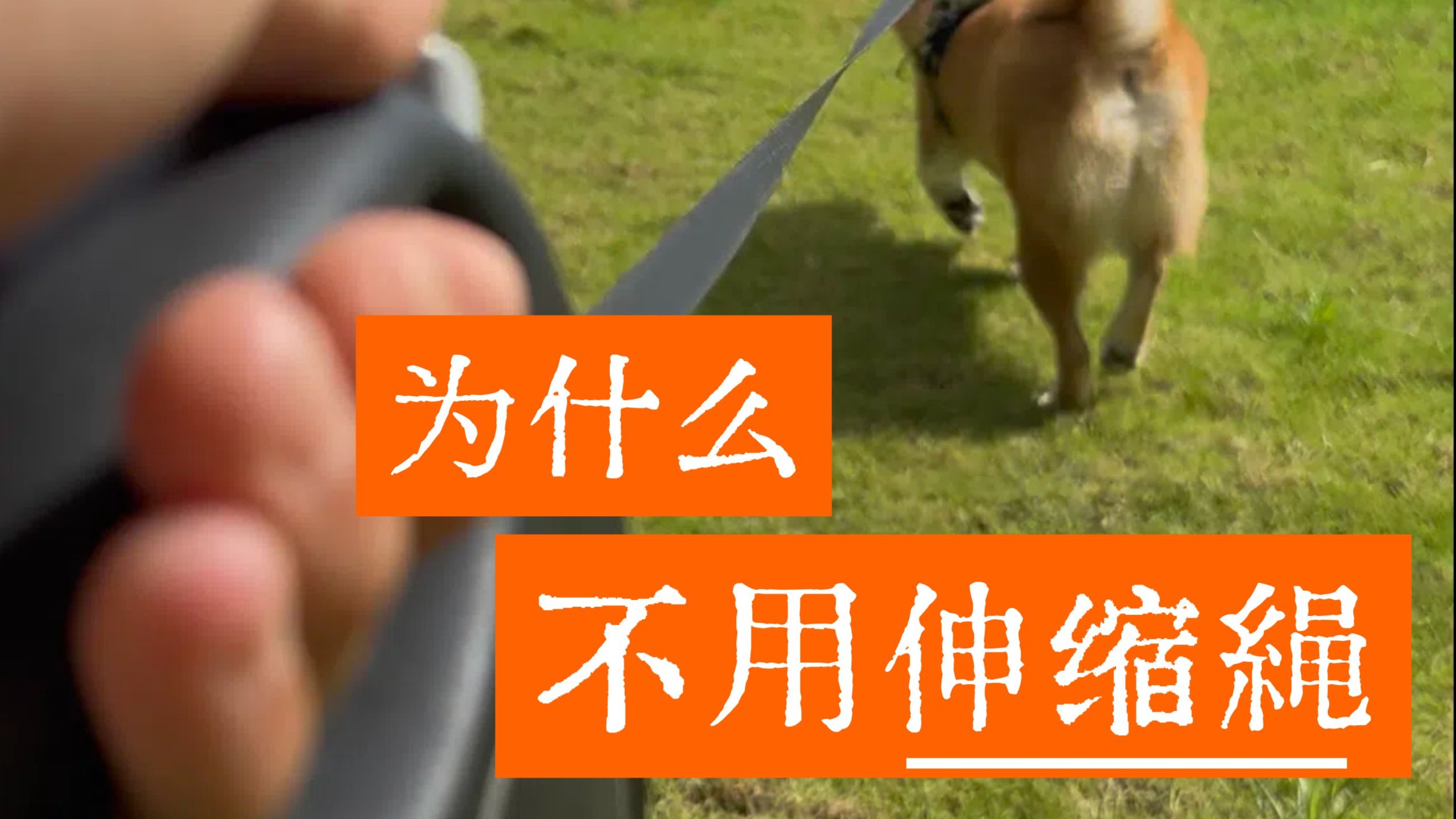 训练一般不用伸缩绳