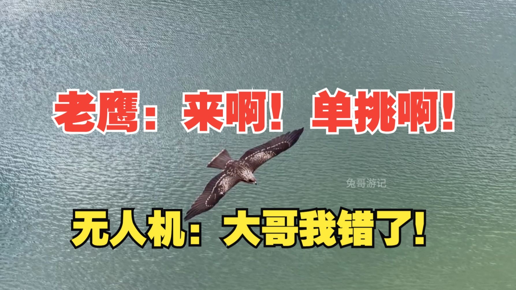 老鹰：你有没有炸过机？你有没有见过夏清？