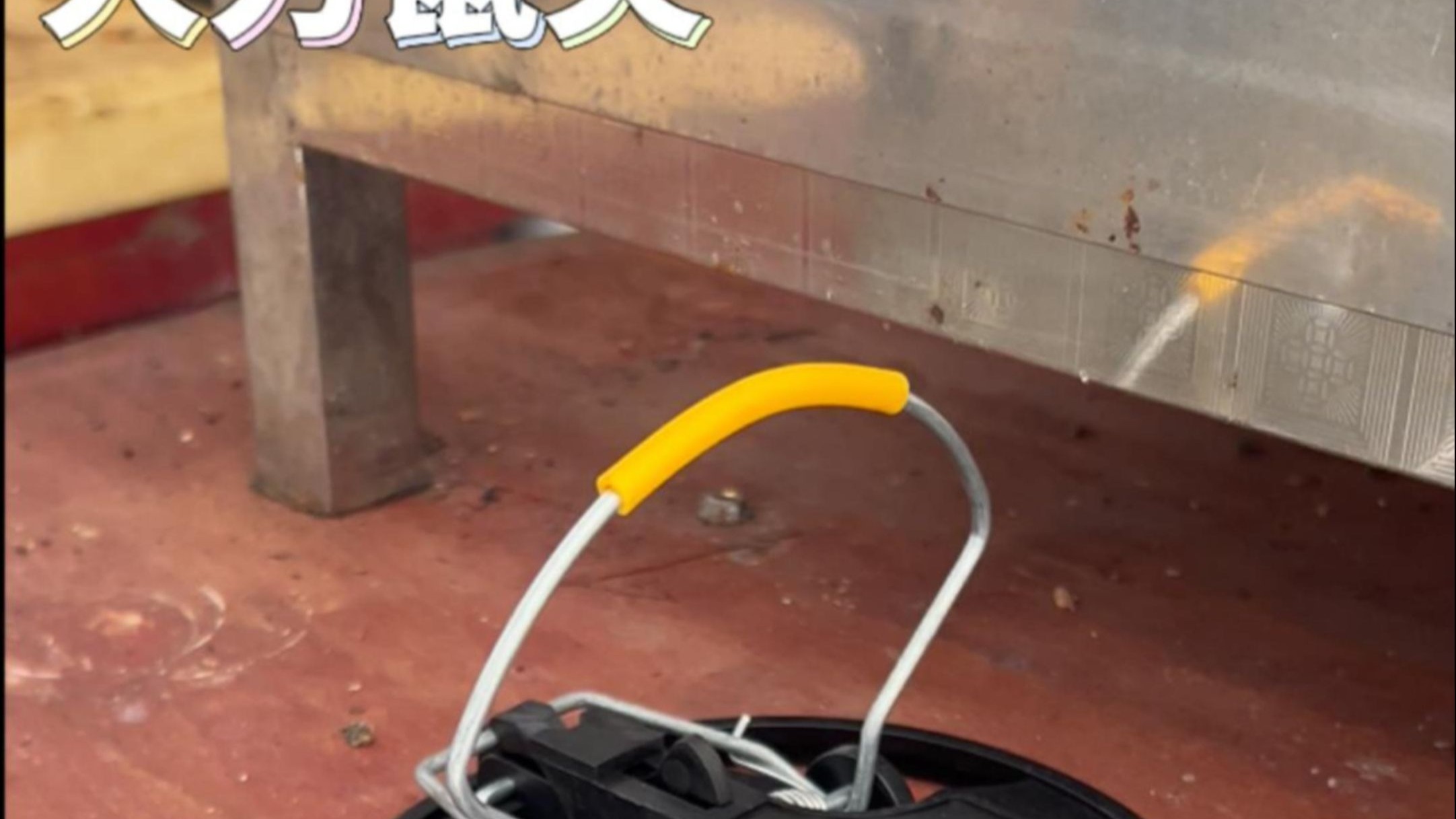 没想到厨房里又来了一位不速之客 #玩个很新的东西