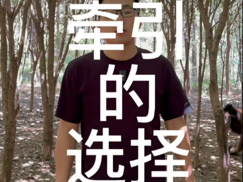 如何选择正确的牵引