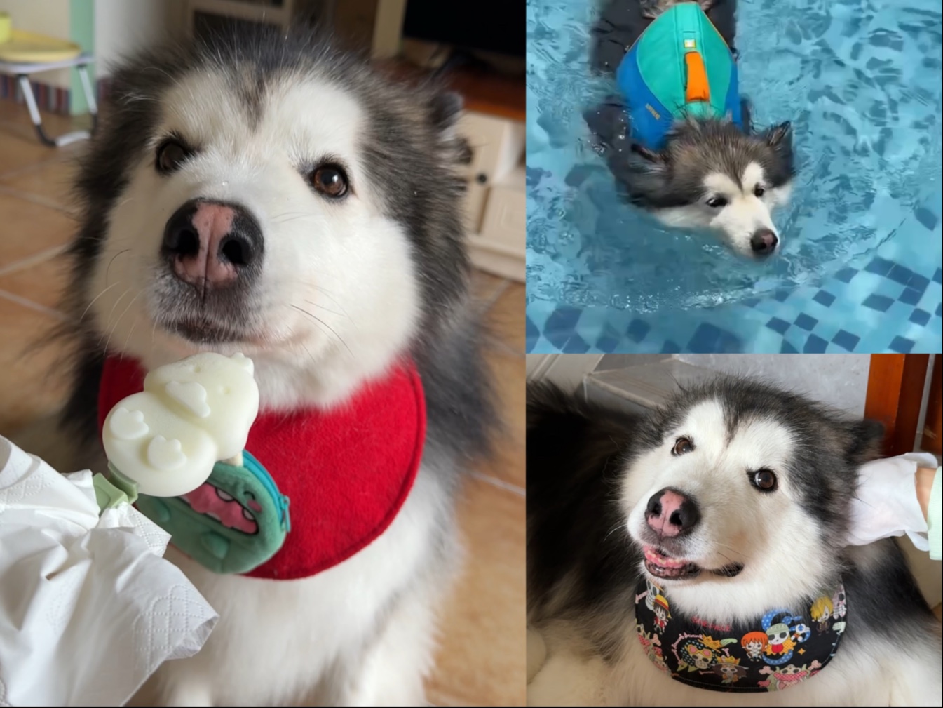 日子怎么可能跟谁过都一样呢！