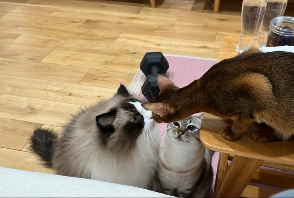 是谁零食没吃够骂骂咧咧！