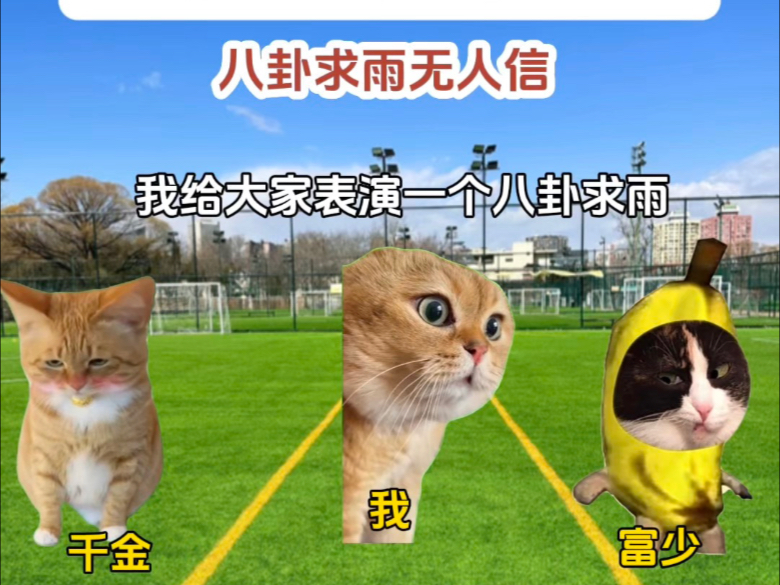 别人军训表演才艺，我画八卦求雨