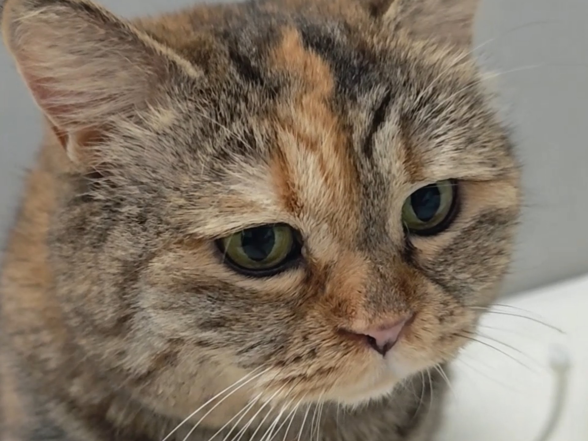 纯情咣当火辣辣