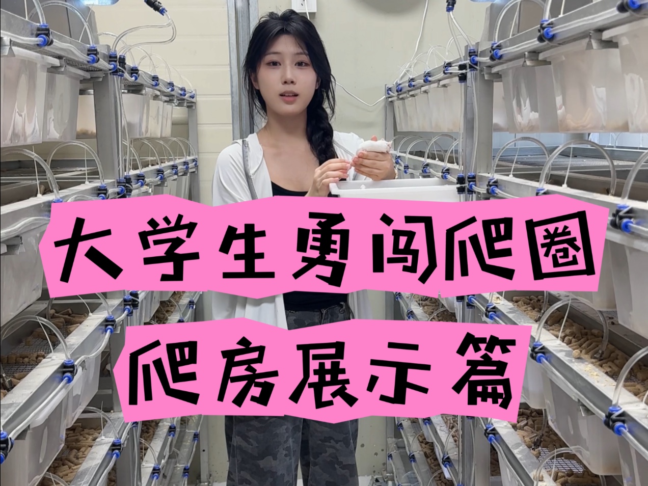 来看看爬宠饲养员的工作环境