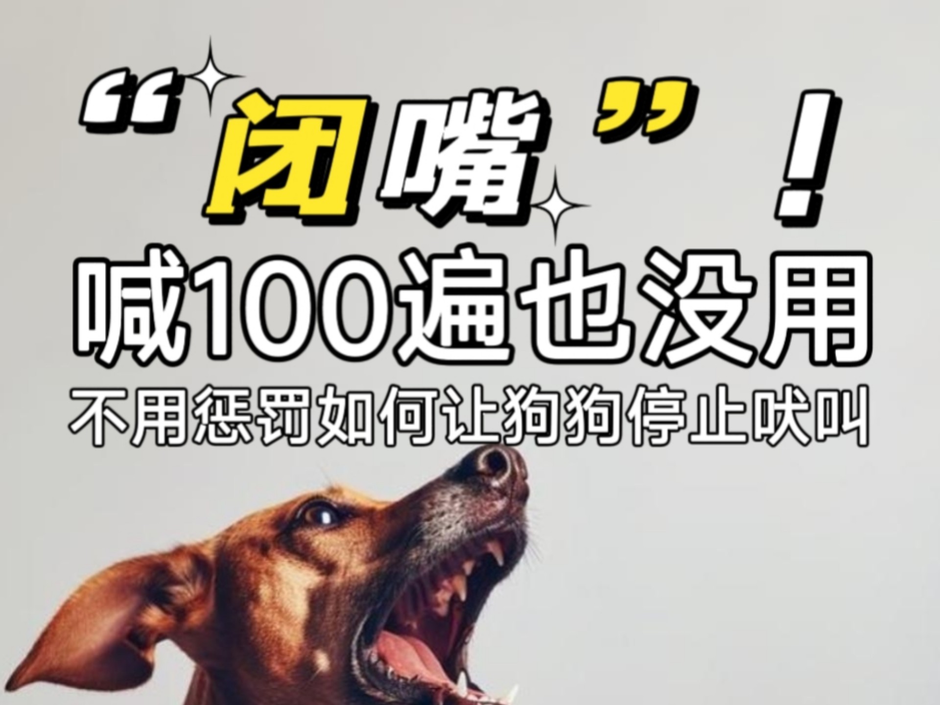 闭嘴，喊100遍也没用，不用惩罚如何让狗狗停止吠叫