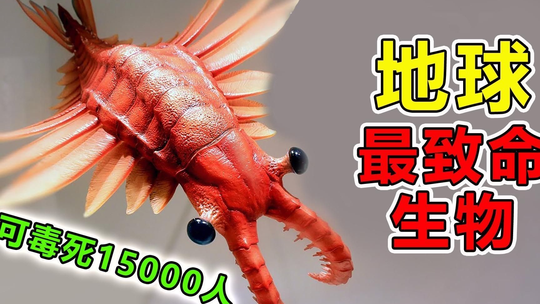 世界上“毒性最强”10大生物，1滴毒液瞬间杀死15000人，却是顶级