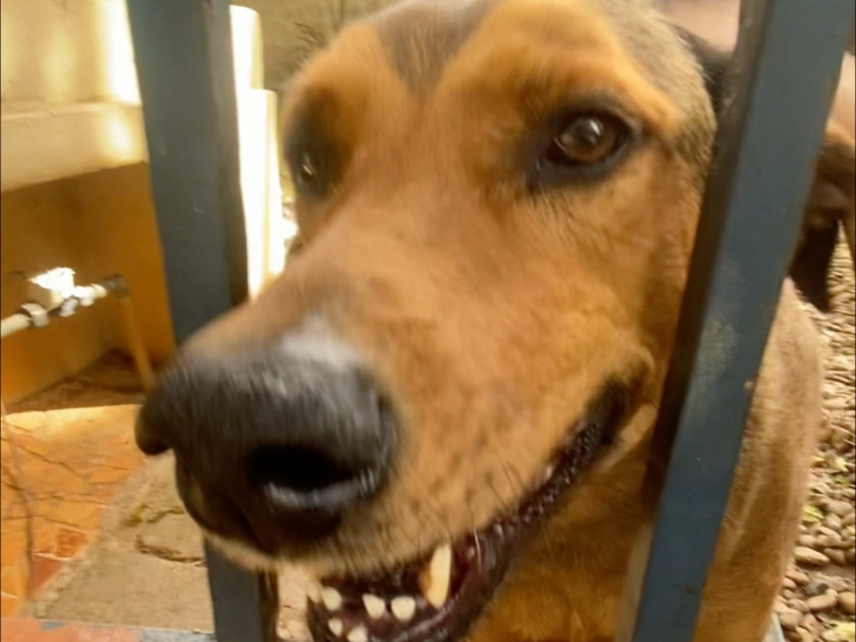 久等了各位家人，实际上是没人在等，明白的