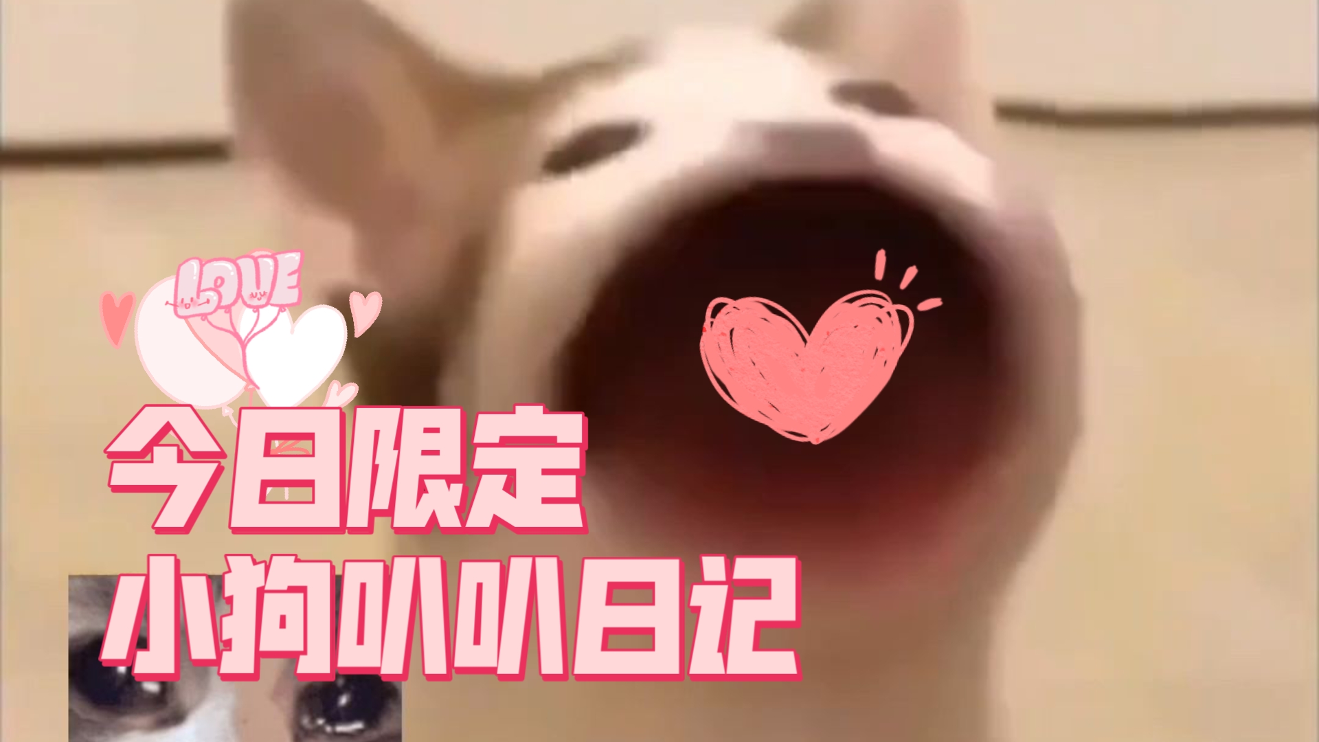 【小狗日记】委屈小狗碎碎念，一个劲儿的叭叭
