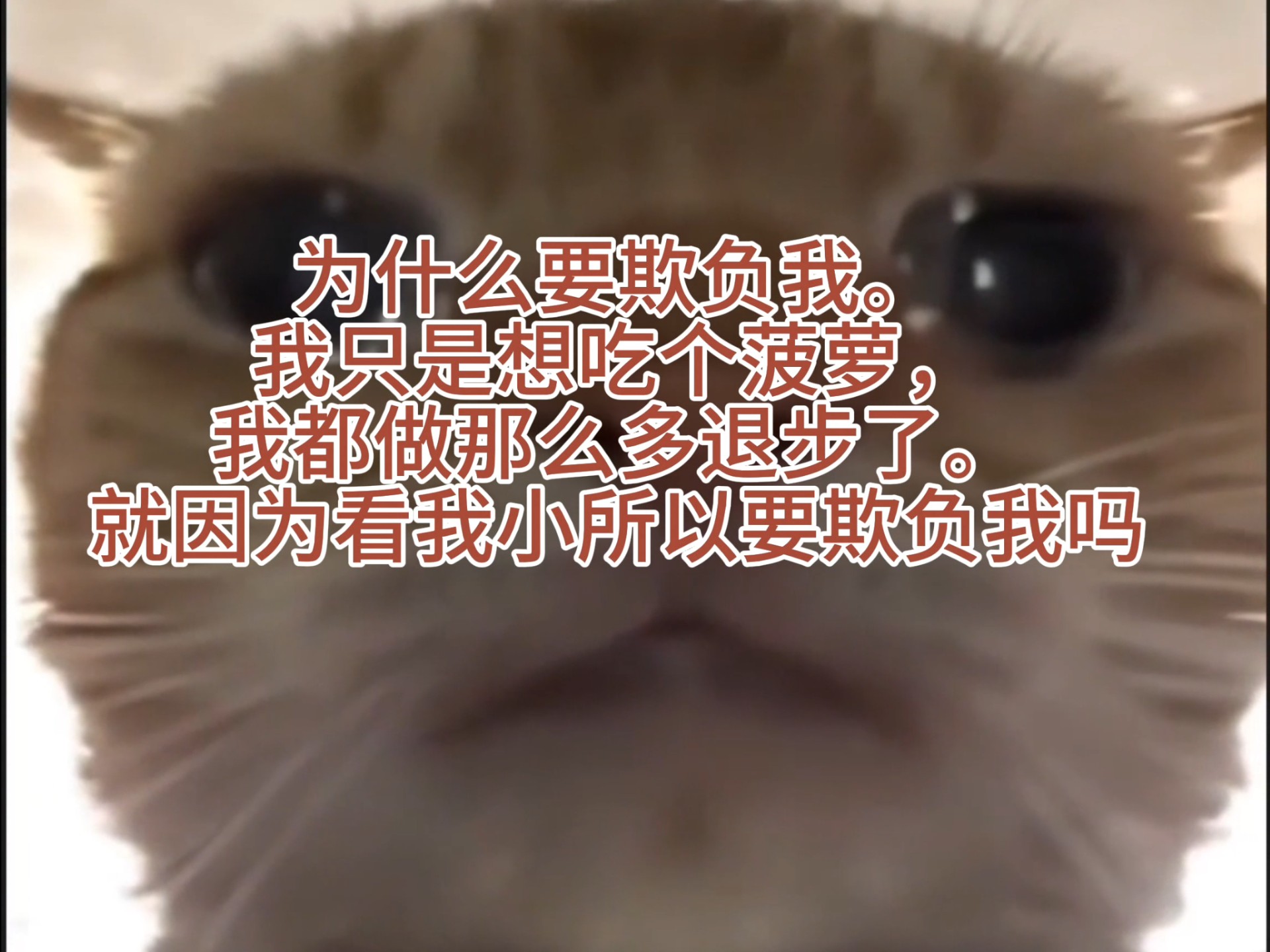 对不起，这可能只是一件很小的事情我不该发出来，可是我好难过。