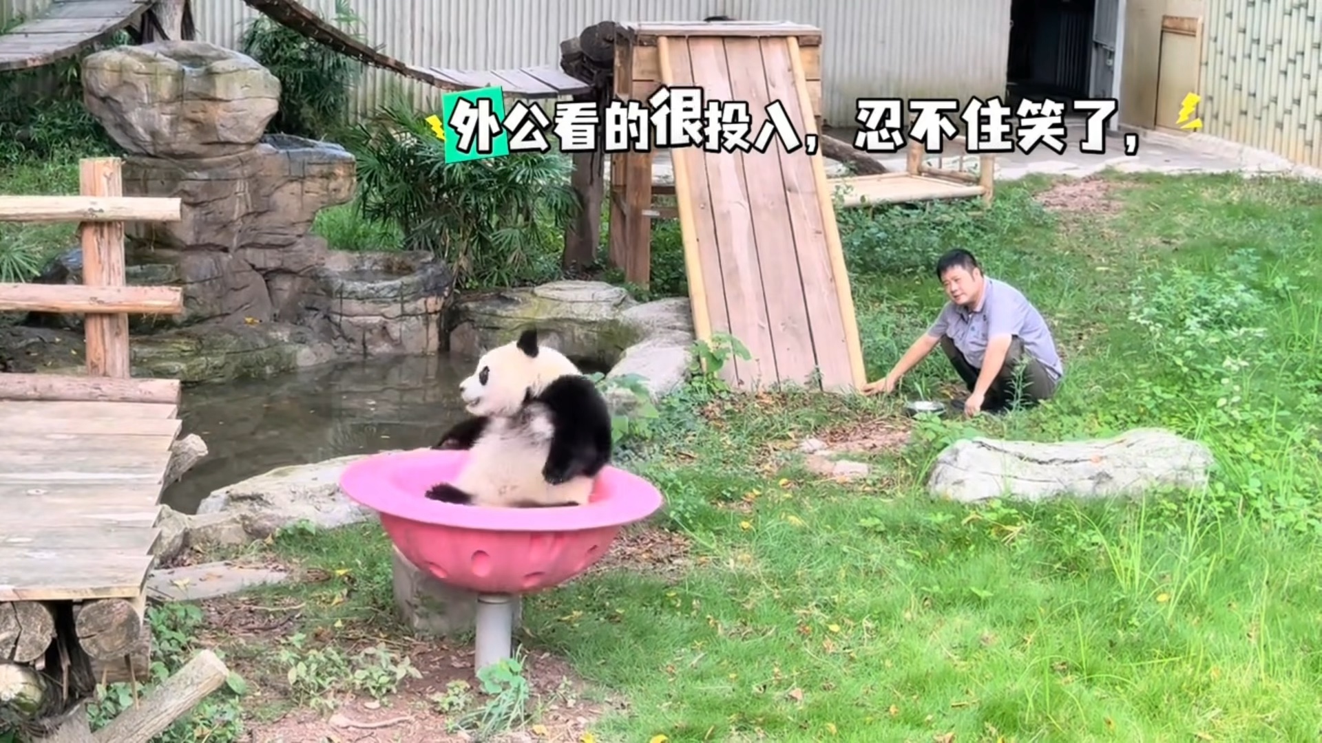 三妹玩嗨喽#三妹大熊猫
