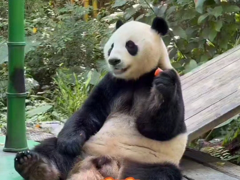 大文：亲亲你真喺好锡阿妹，留咁多零食