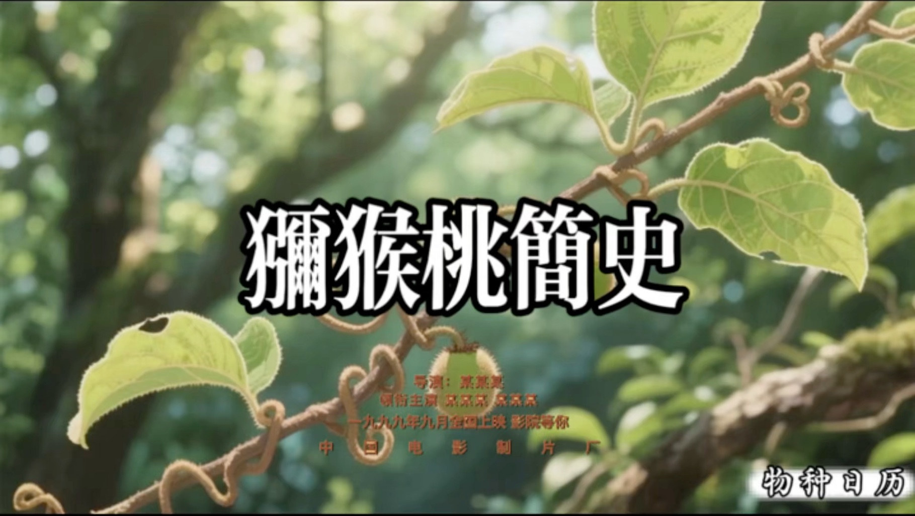 猕猴桃简史#科普#涨知识#治愈系#原创视频#猕猴桃