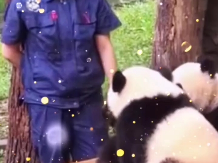 就是爱你