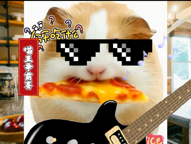 看这只荷兰猪吃播好解压