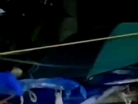 青蛙：讨厌没有边界感的人类