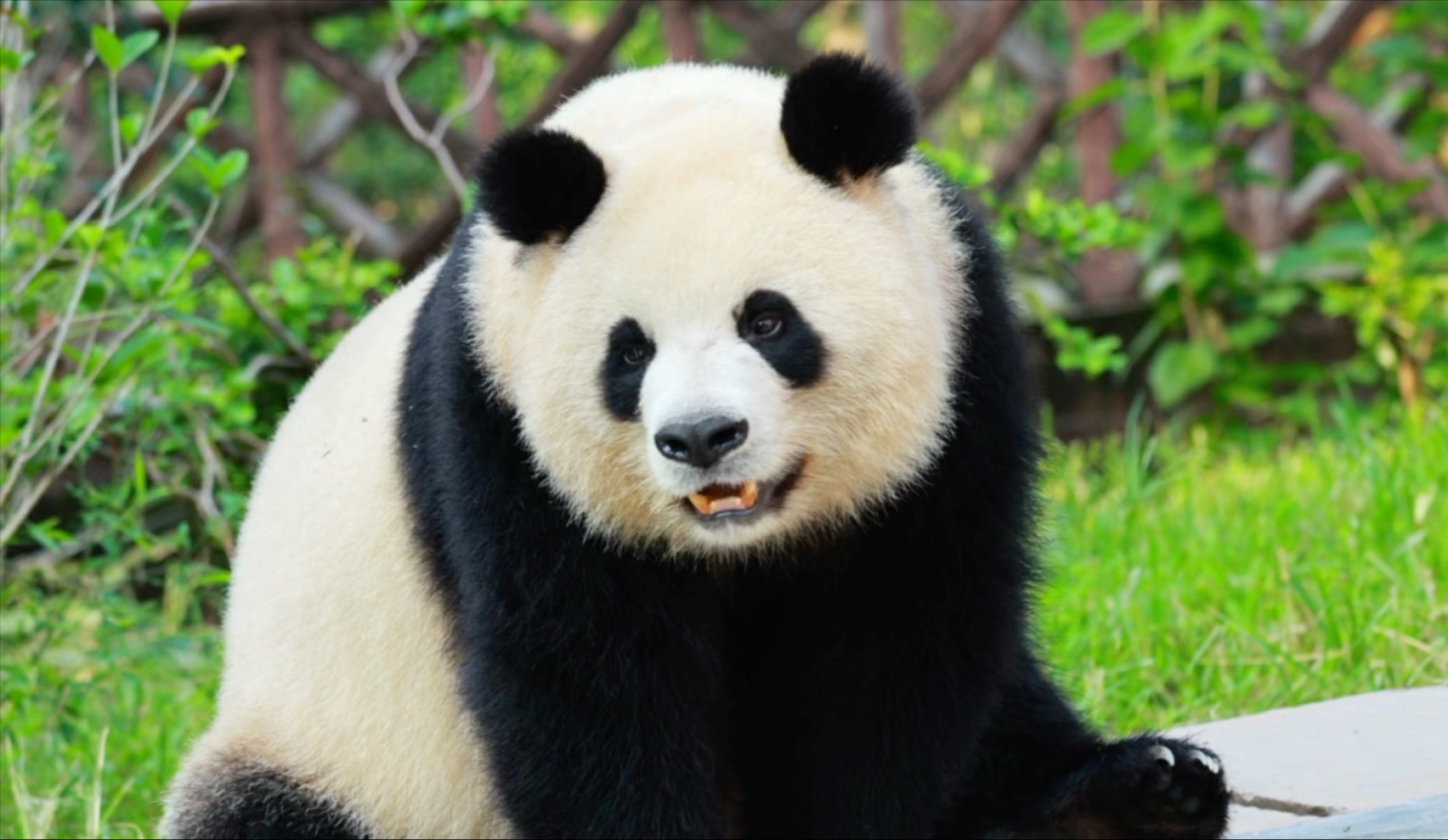 润，触手可及
