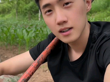 什么都不懂，不更要互相学习吗