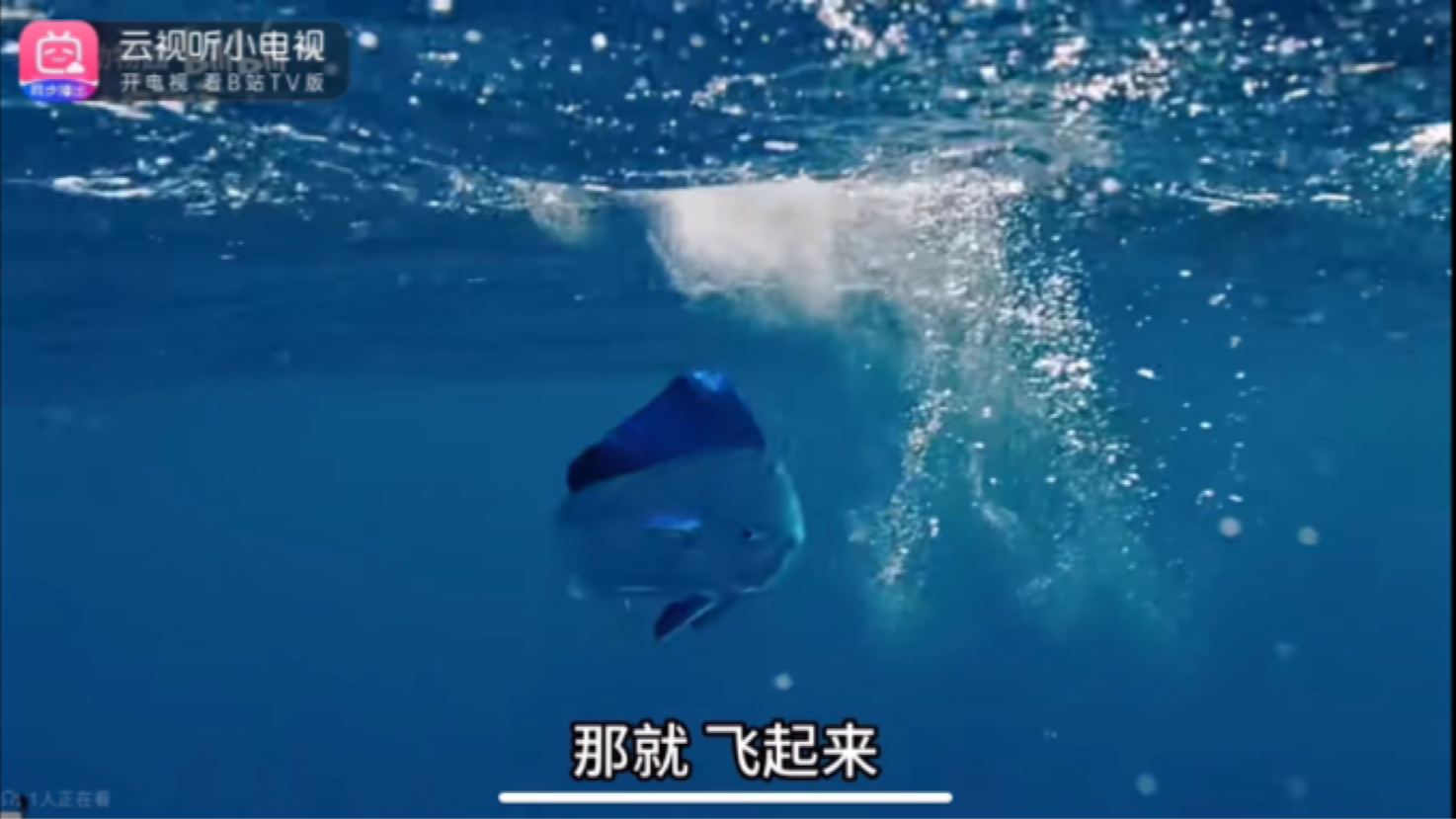 【阳光露西】我的最新作品，快来一睹为快！