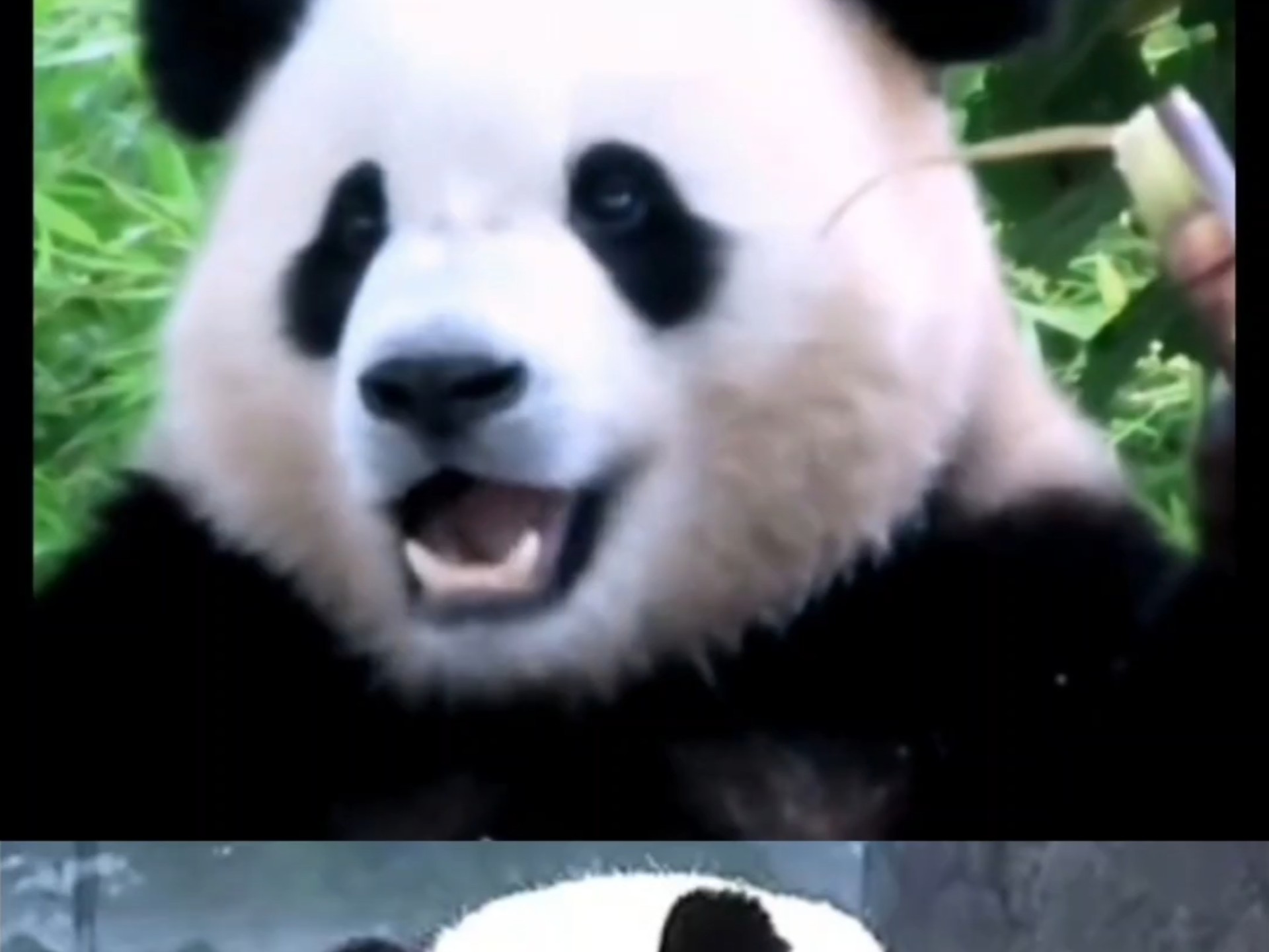家才是最好的！让我们回家吧！