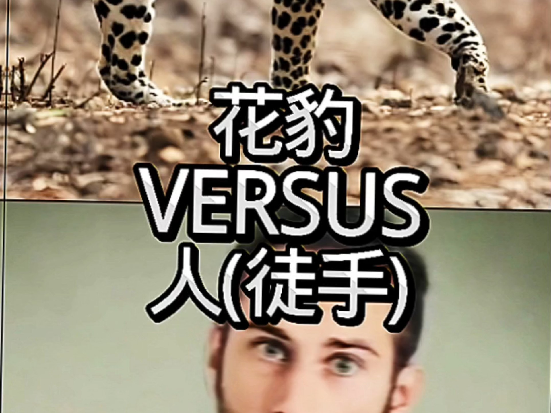 人类徒手的情况下能否单杀花豹？……