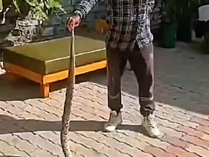作死2