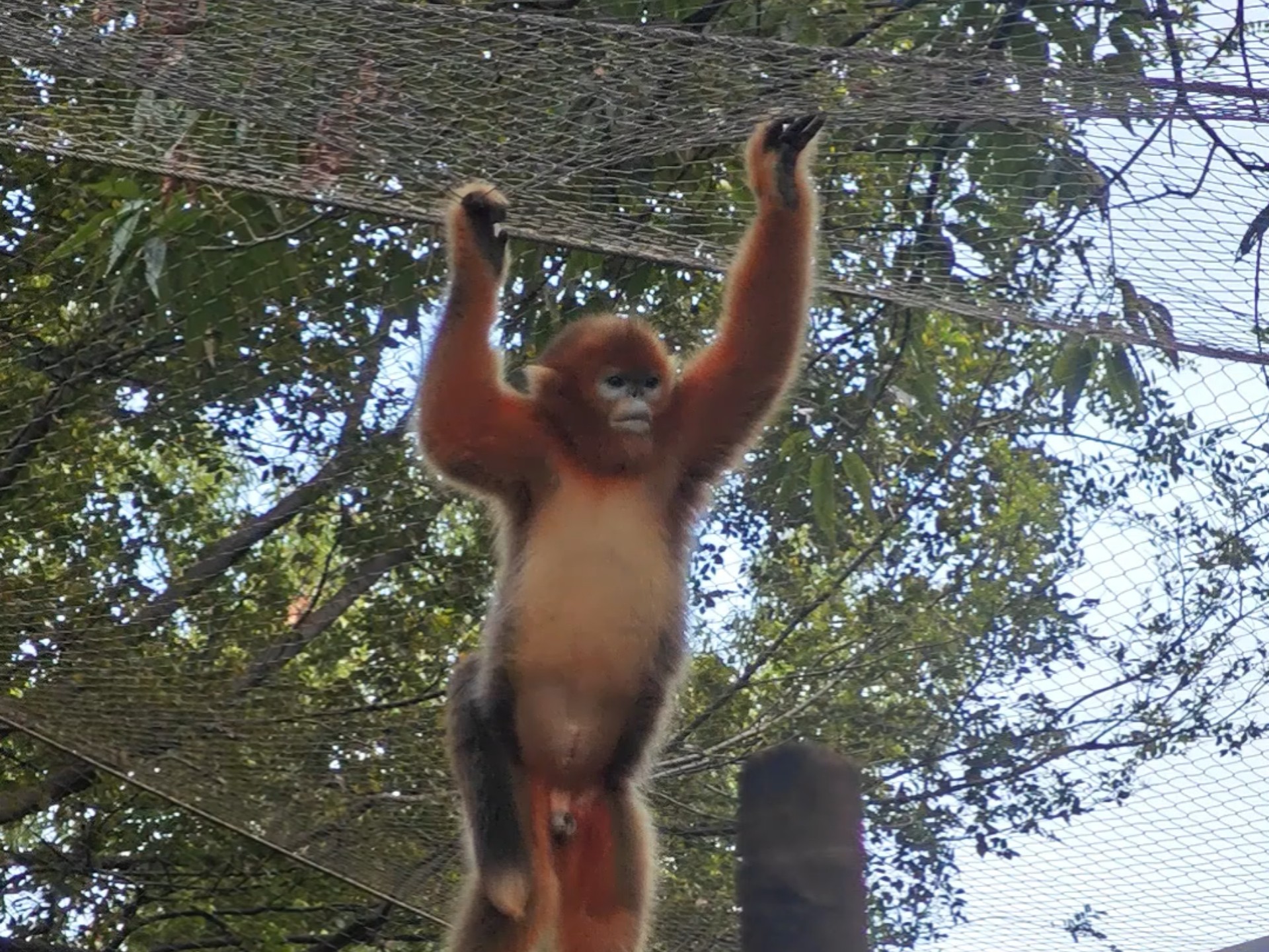 突突：忙死我了